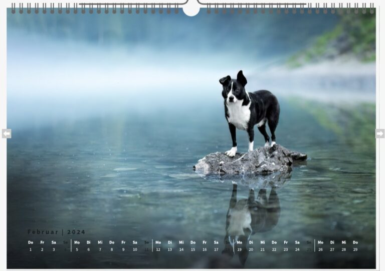 Februar